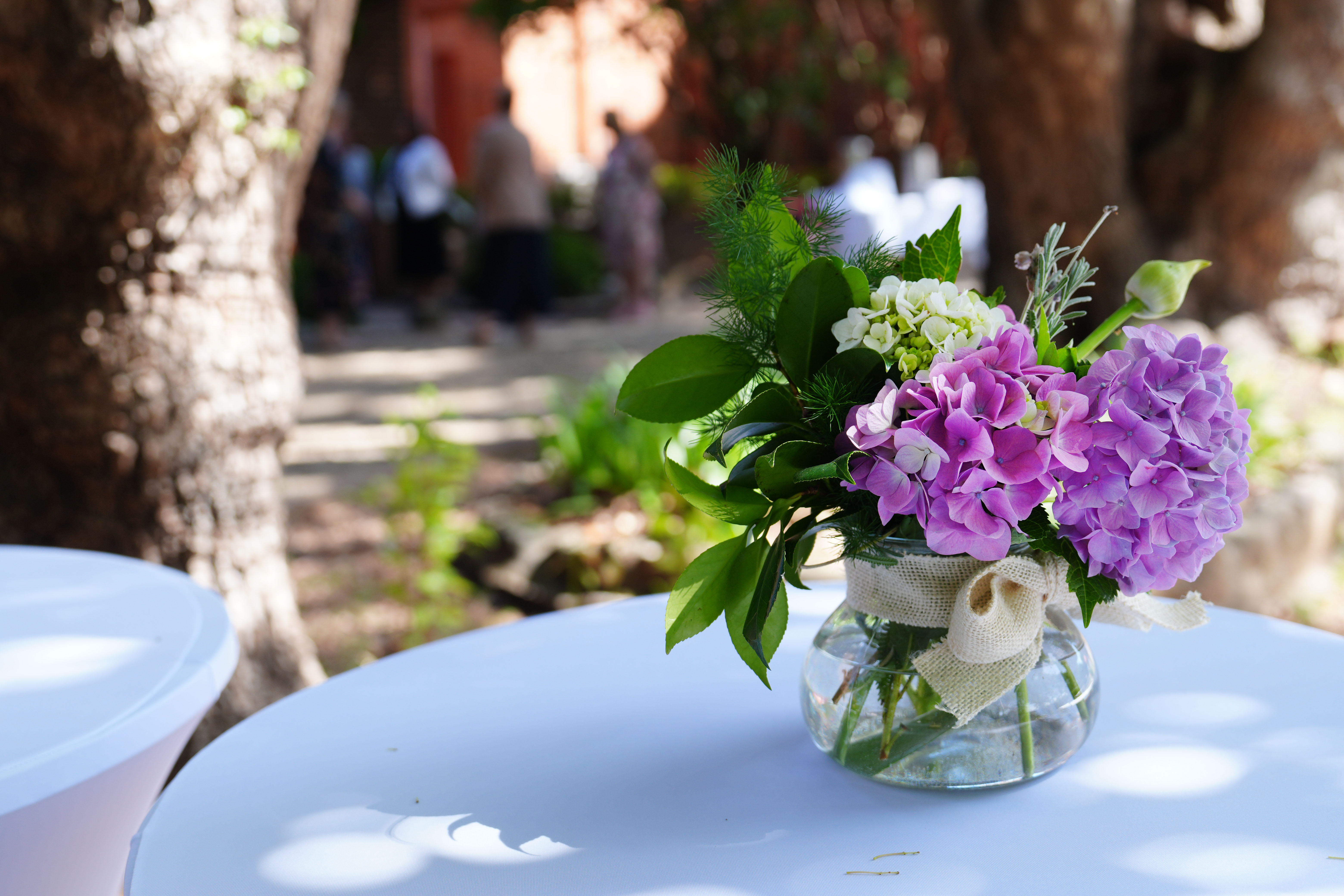Opening and Blessing of the MSB Centre