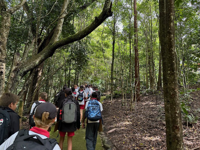 Stage 4 Geography visit Minnamurra rainforest
