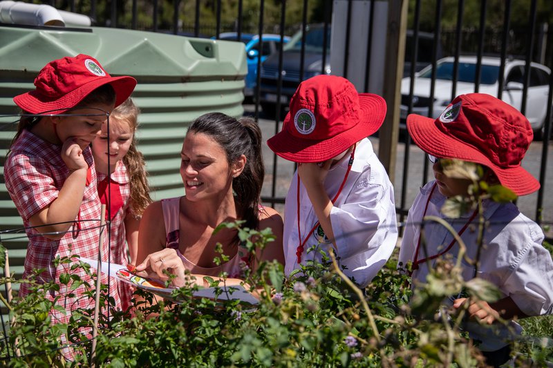 The Big Vegie Crunch