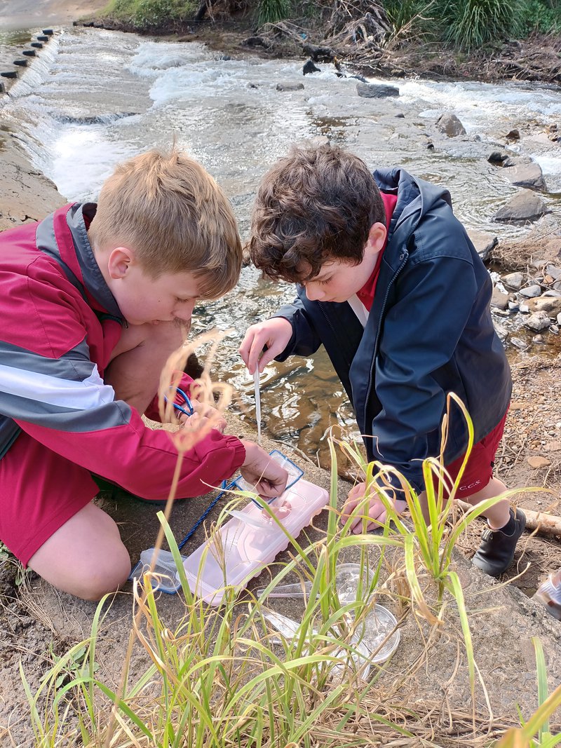 Landcare Grant Update - Macquarie Rivulet Project