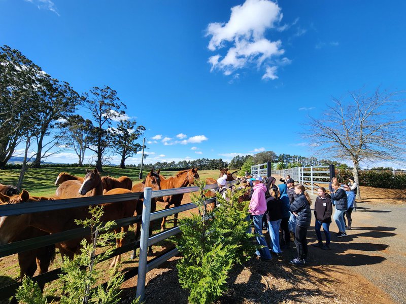 Calderwood students explore a world of Work Experience opportunities