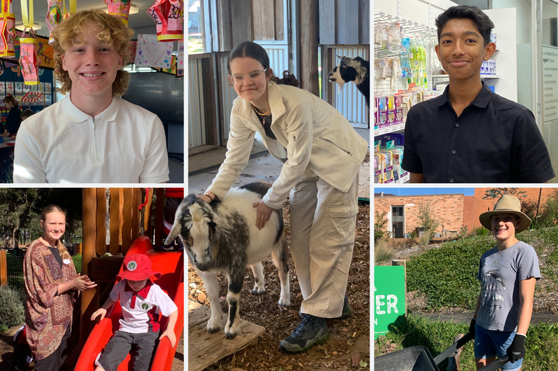 Year 10 students complete Work Experience across the Illawarra and beyond!