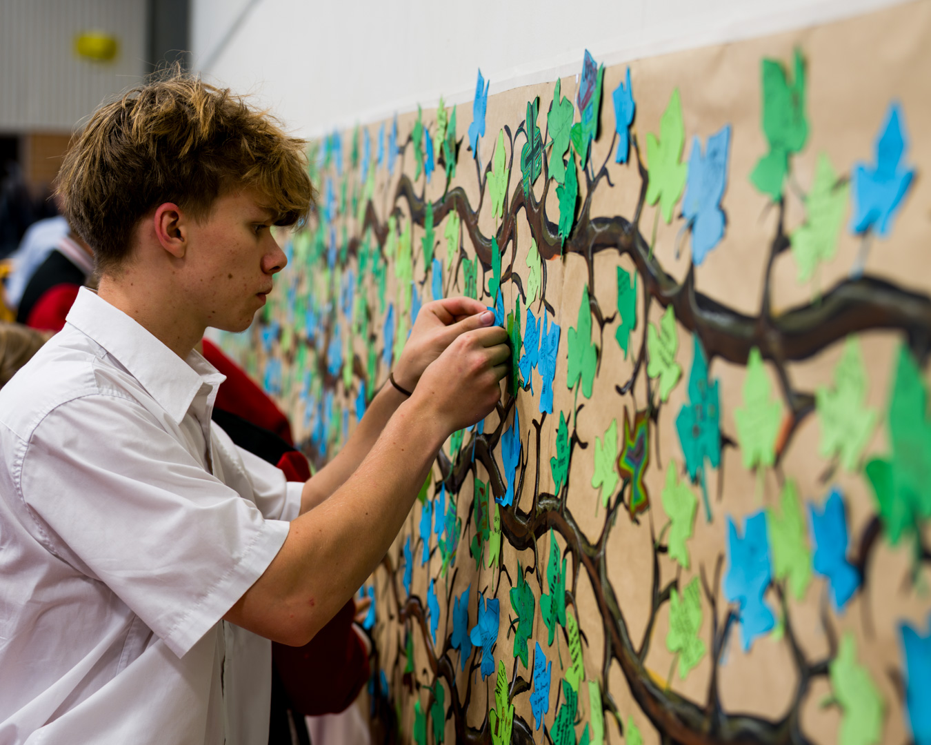 Celebrating our second Imago Day