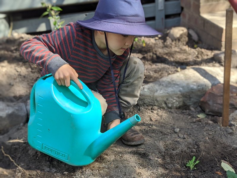 Class 1 garden comes to life