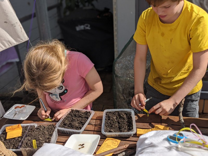 Class 6 Home Garden Project