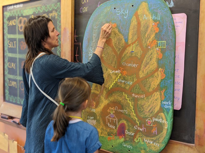 Classes 1 & 2 Science - Anthill exploration