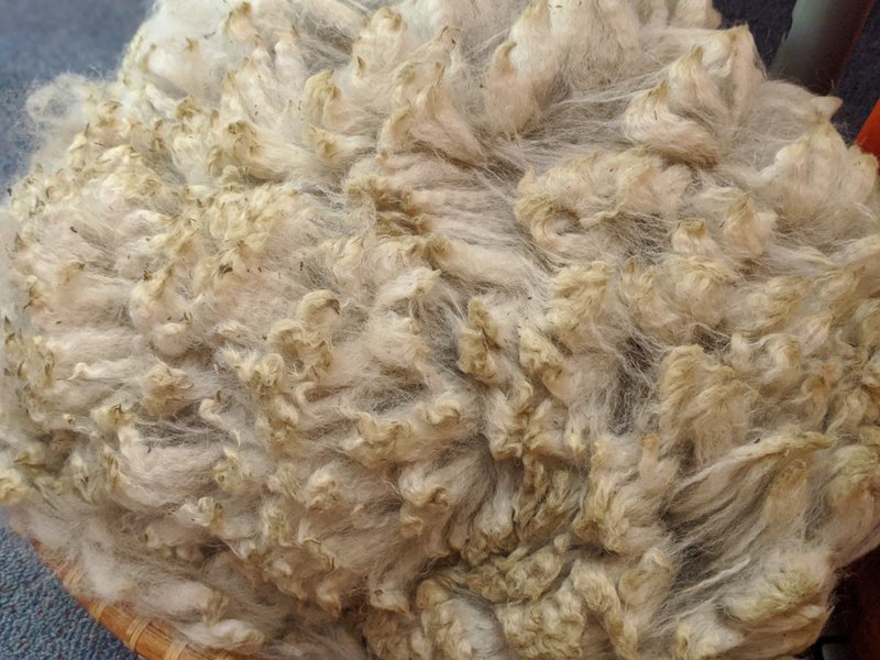 Class 1 - The Story of Wool