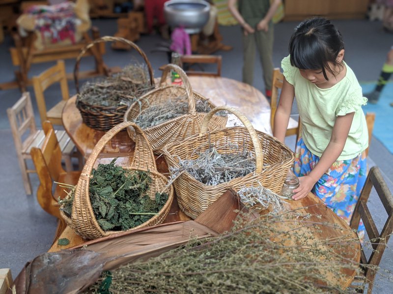 Home made herbal teas from the garden