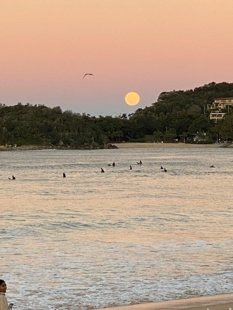 Class 6 gather by the light of the Moon