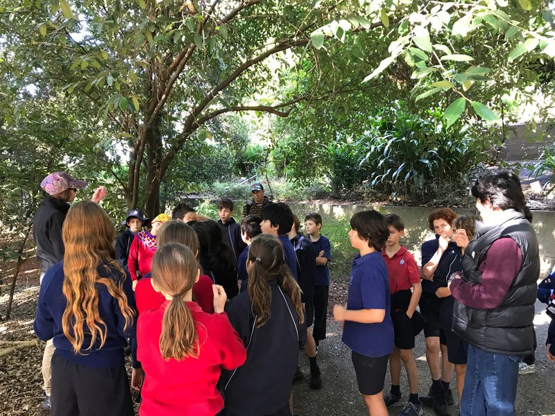 Class 5 excursion to Mt Annan Botanic Gardens