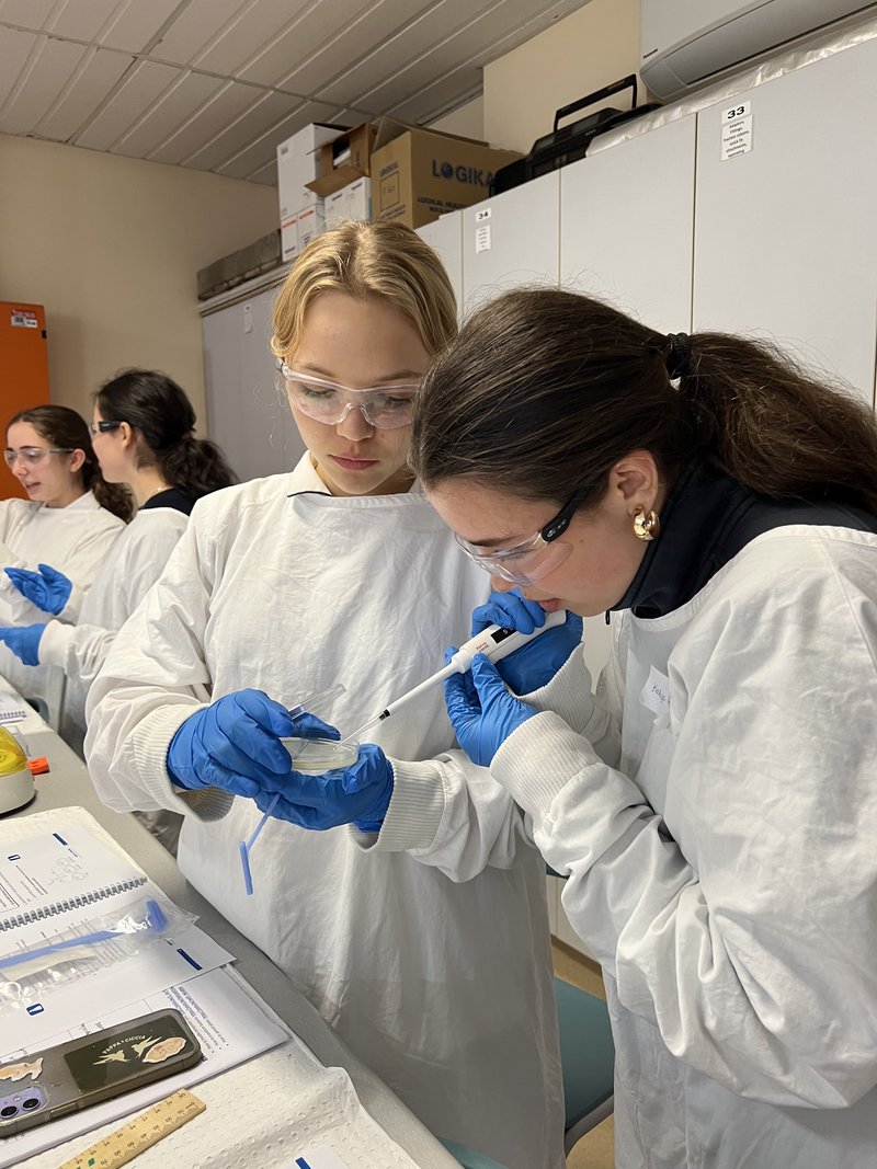 DNA, Genes and Glowing Bacteria: Year 12 Biology Takes on Real-World Biotech