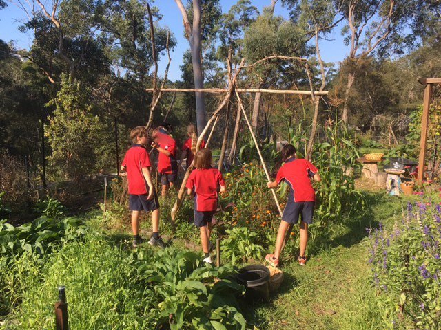 Class 6 design and construct winter garden structures