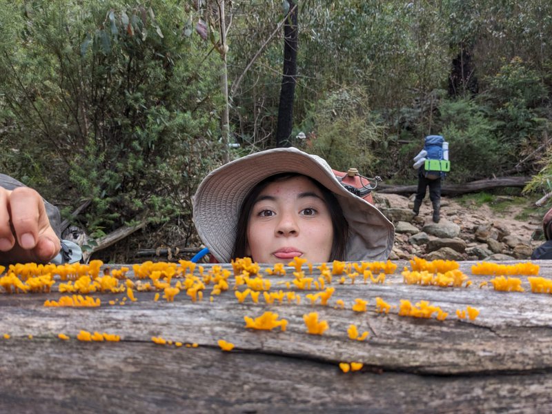 Yr 9 Outdoor Education