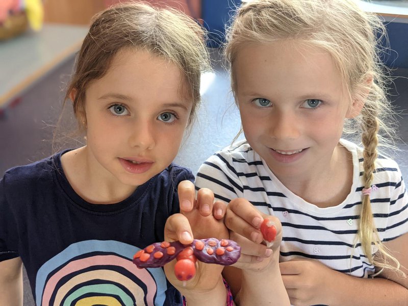 Class 2 create birds with beeswax