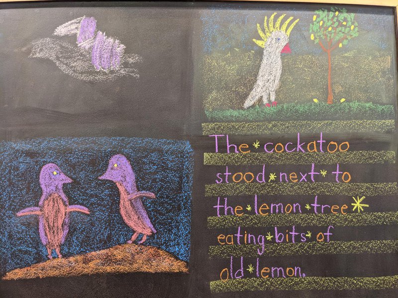 Class 2 - Twiggy the Cave bird Main Lesson