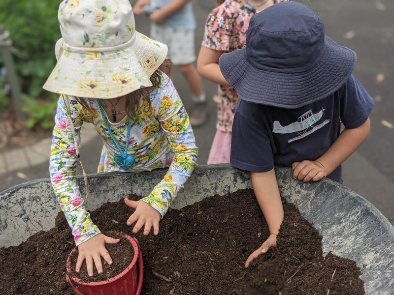 The cycle of life in the gardens at Castlecrag