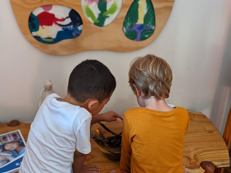 Tadpoles  and frogs in the pond