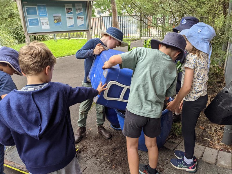 Class 2 plant the Kefir lime tree and Kindy in the compost