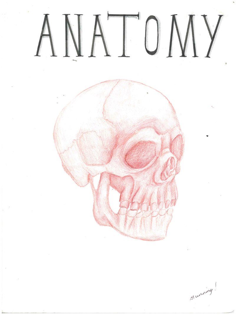 Year 8 Anatomy Main Lesson - a body of work