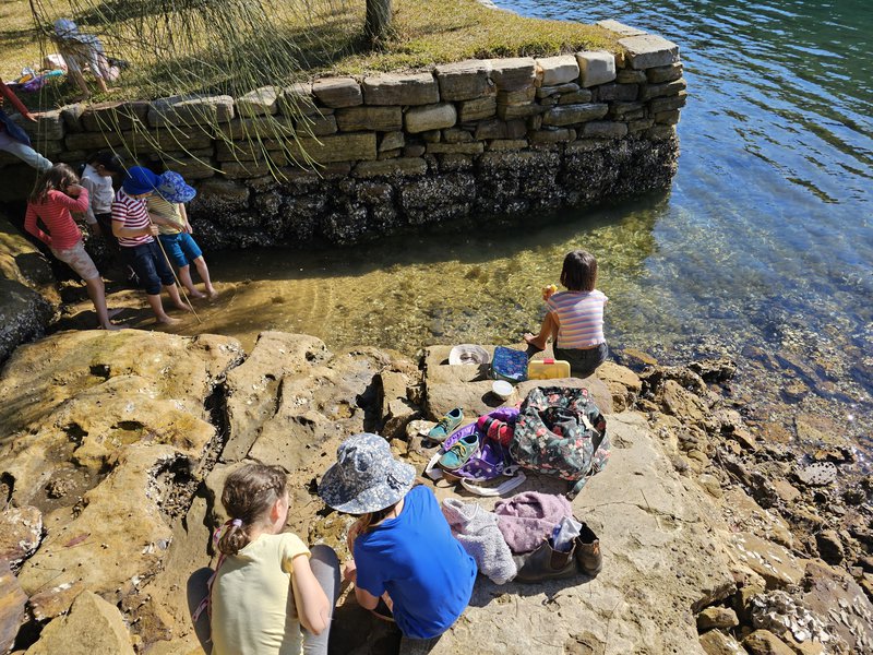 Class 2 Bushwalking Adventures
