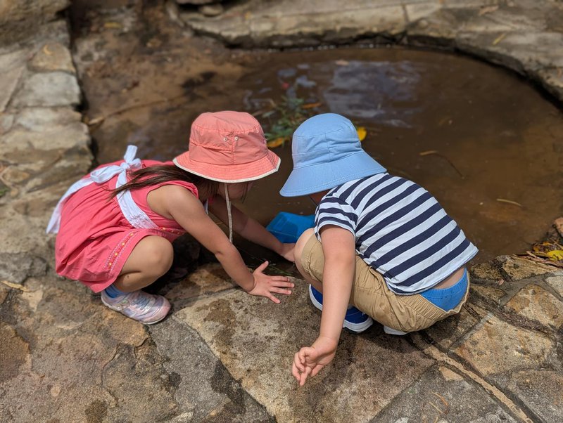 Work and Play in the Kindy Day