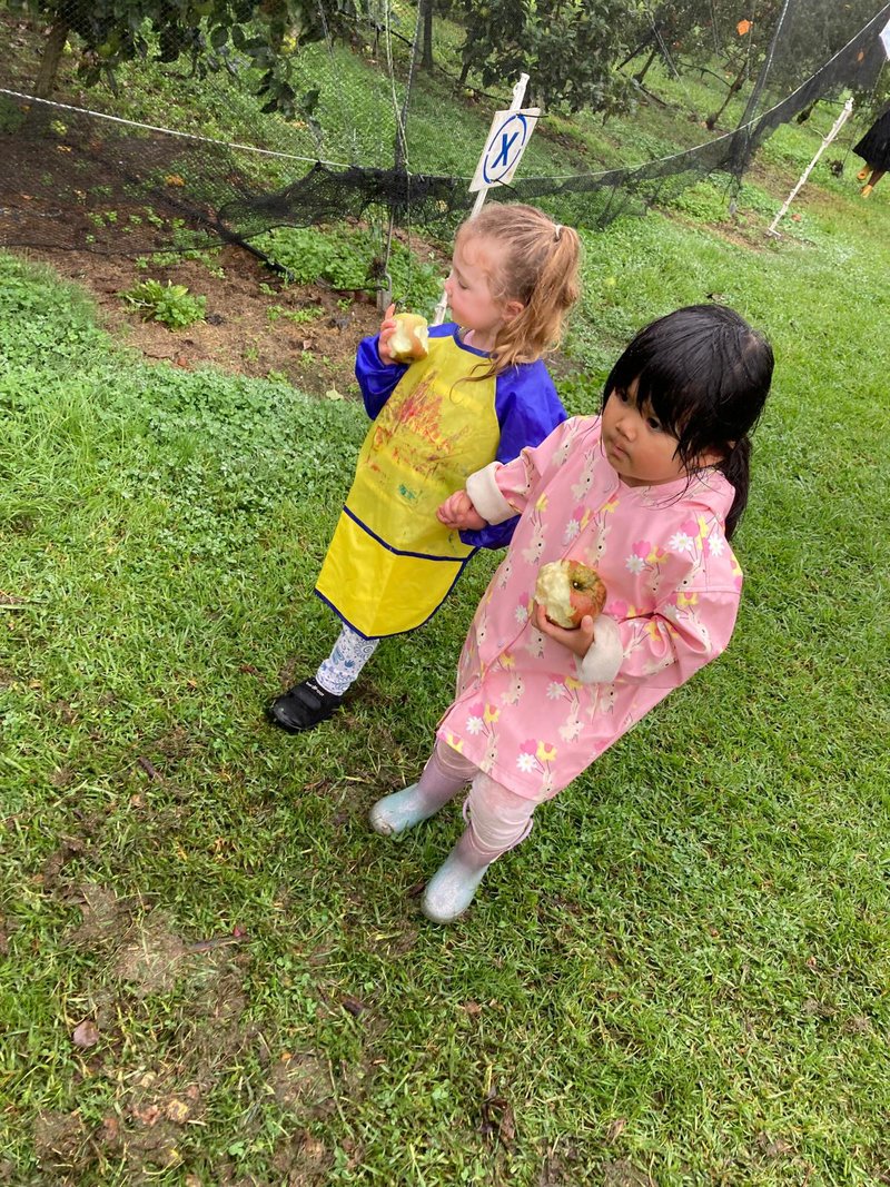 Preschool Apple Picking at Bilpin Springs Orchard