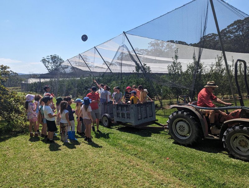 Class 3 Enjoy Apple Picking at Bilpin Springs