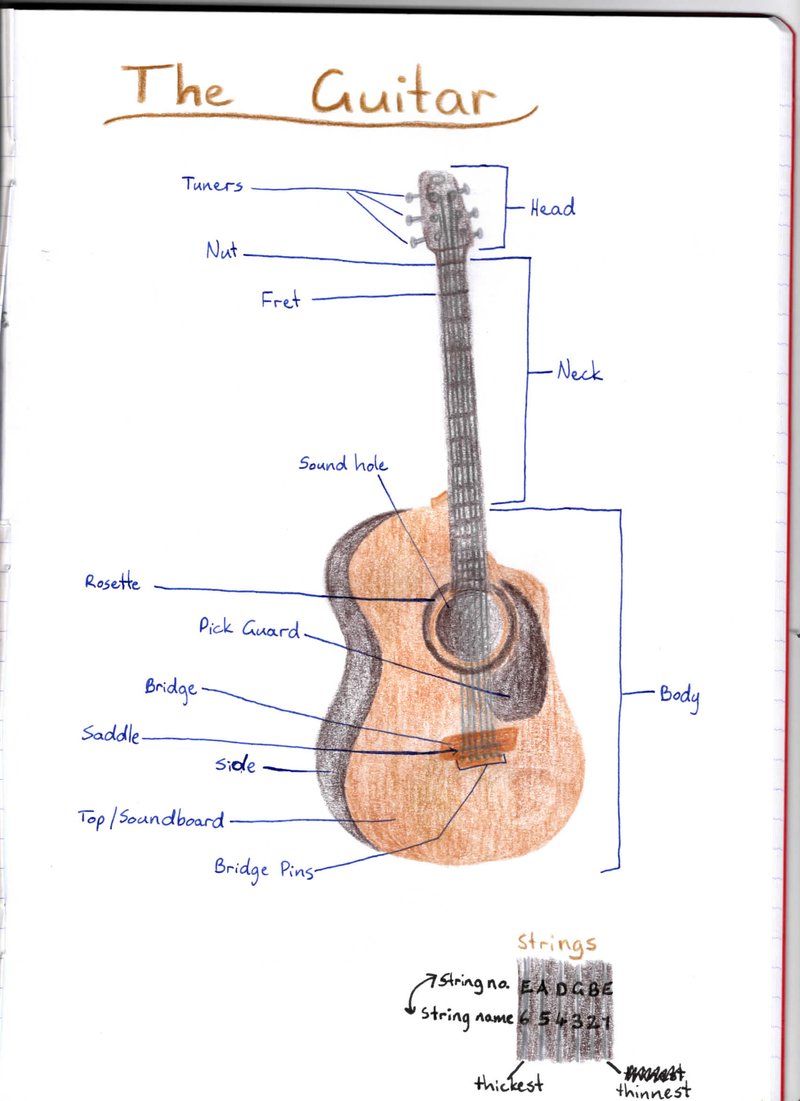 Year 8 students draw guitars