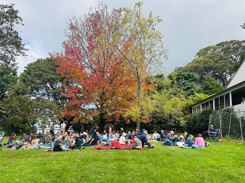 Class 1 and 2 Apple Picking