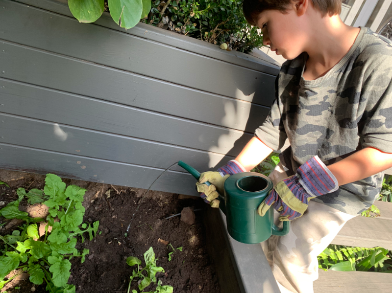 Kindergarten planting bulbs for springtime