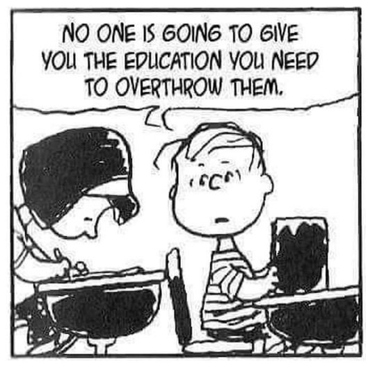 The Education You Need