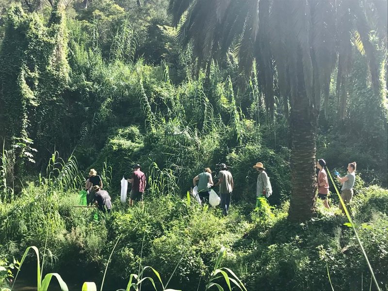 Gleno Green Team Cleans up Scotts Creek