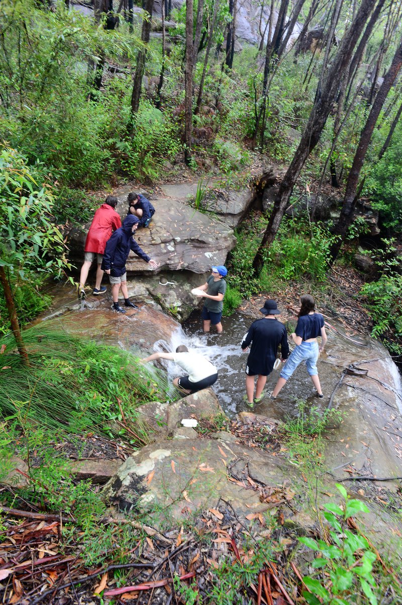 Year 11 Biology at Bantry Bay