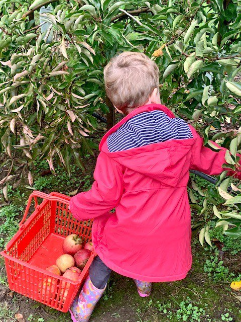 Preschool Apple Picking and Harmony Day Cultural Feast