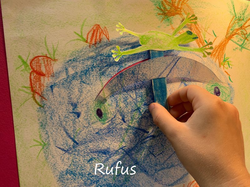 Class 2 make happy hoppy frogs