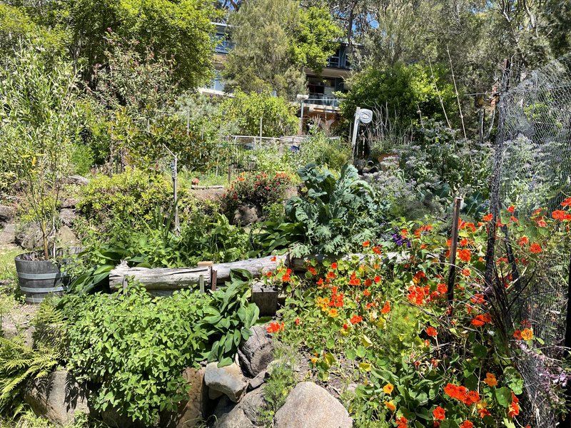 Let’s step into the NEW!