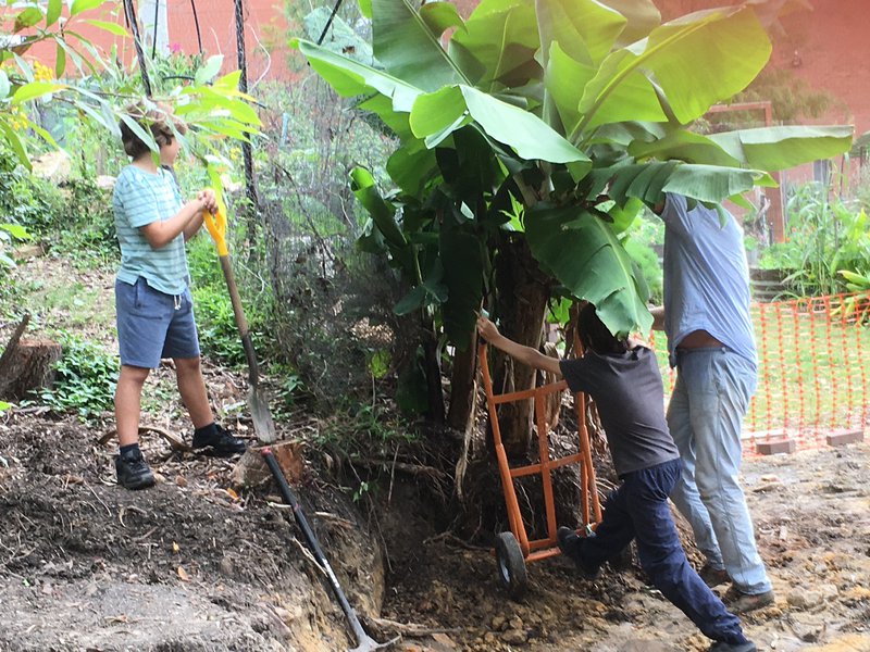 Gardeners from all classes unite