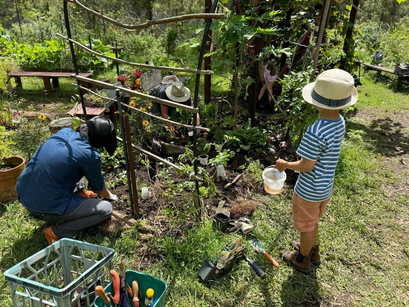 Glenaeon Garden Culture - Like a Bee Hive
