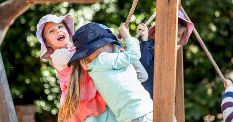 The Power of Play in Nature