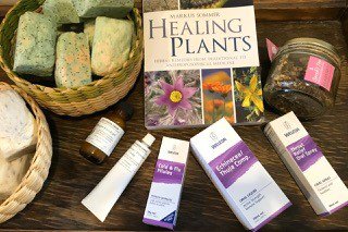 Grassroots Eco Store – Supporting Your Immune System