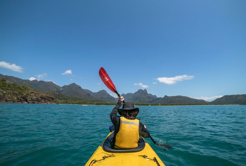 Looking to the future; looking back