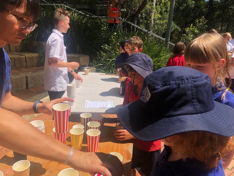 When life gives you lemons, help the environment!