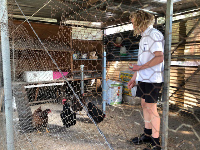 Bronze Year 9 Duke of Ed students serve others in the community