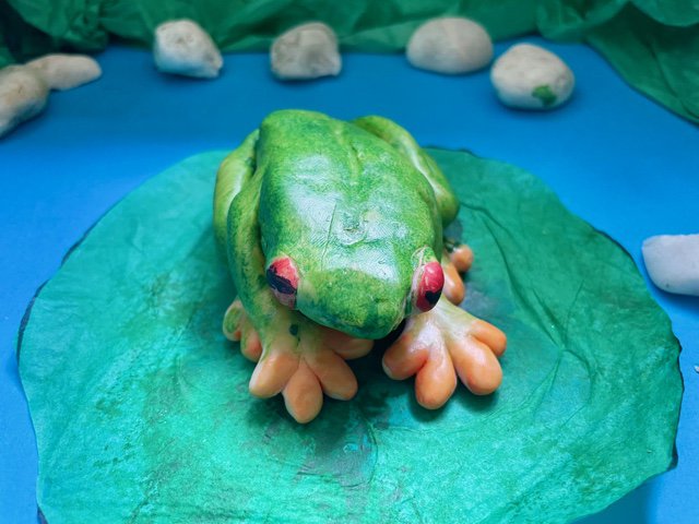 Class 4 explore Animals and Us