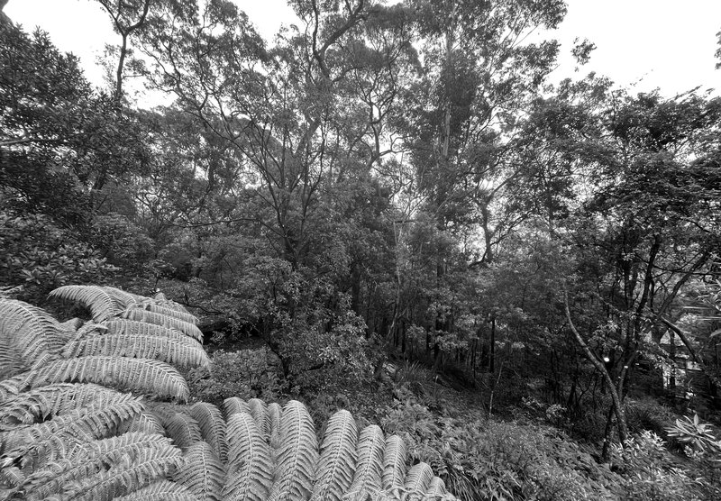 Into The Woods – new dates announced