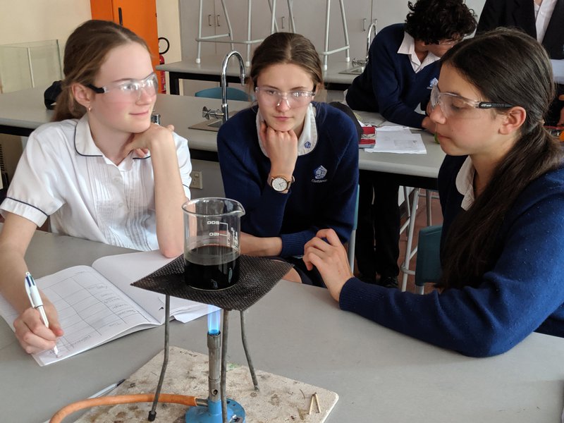 Year 8 Group Science Projects