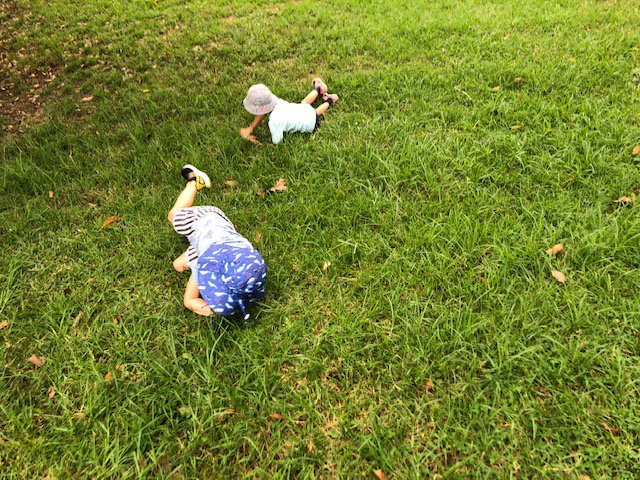 Exploring the Change of Season at Preschool