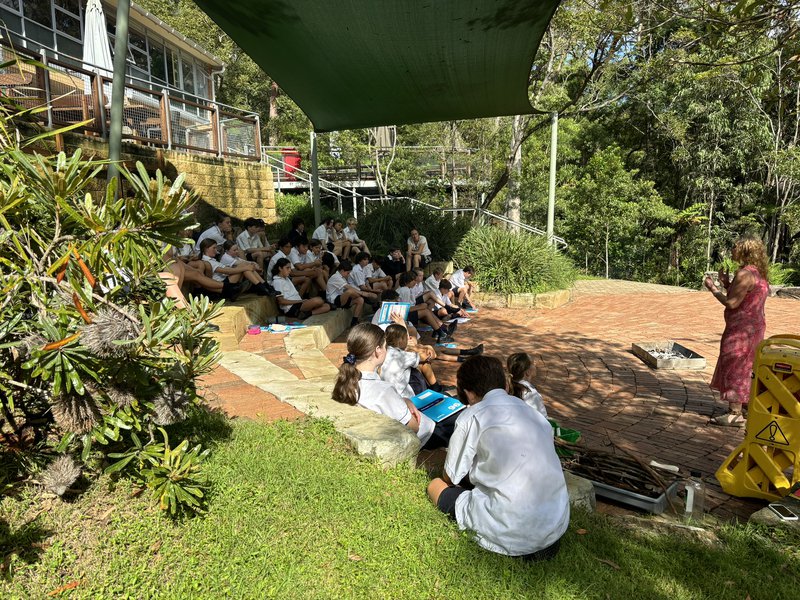 Yr 7 Fire Main Lesson