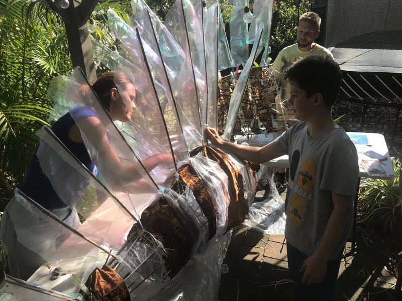 Something fishy going on in Class 6