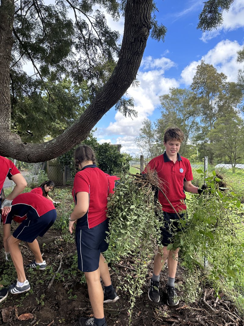 Yr 9A Warrah Farm